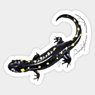 Spotted salamander art with scientific name Sticker